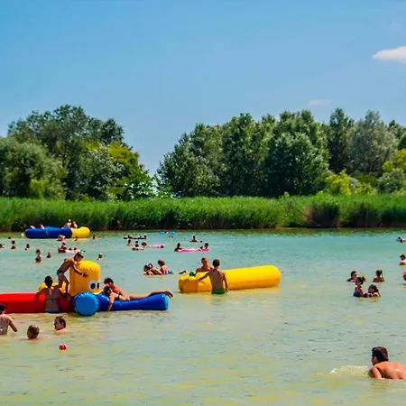 Pet Friendly Near Swimming *