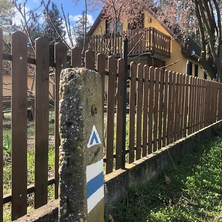 Pet Friendly Near Swimming *