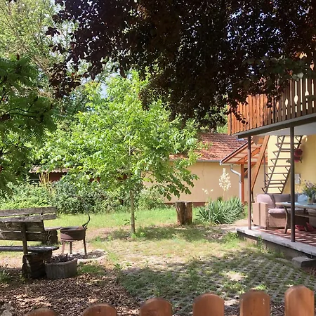 Pet Friendly Near Swimming