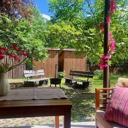 Pet Friendly Near Swimming